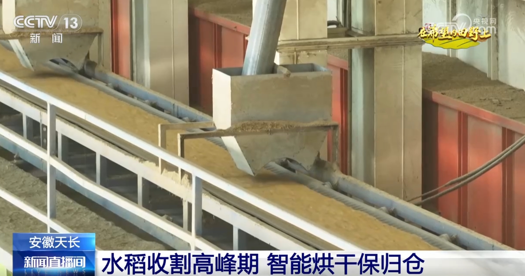 ”景画卷 农业高“智”量发展行稳致远龙8体育入口希望的田野上铺展多彩“丰(图1)