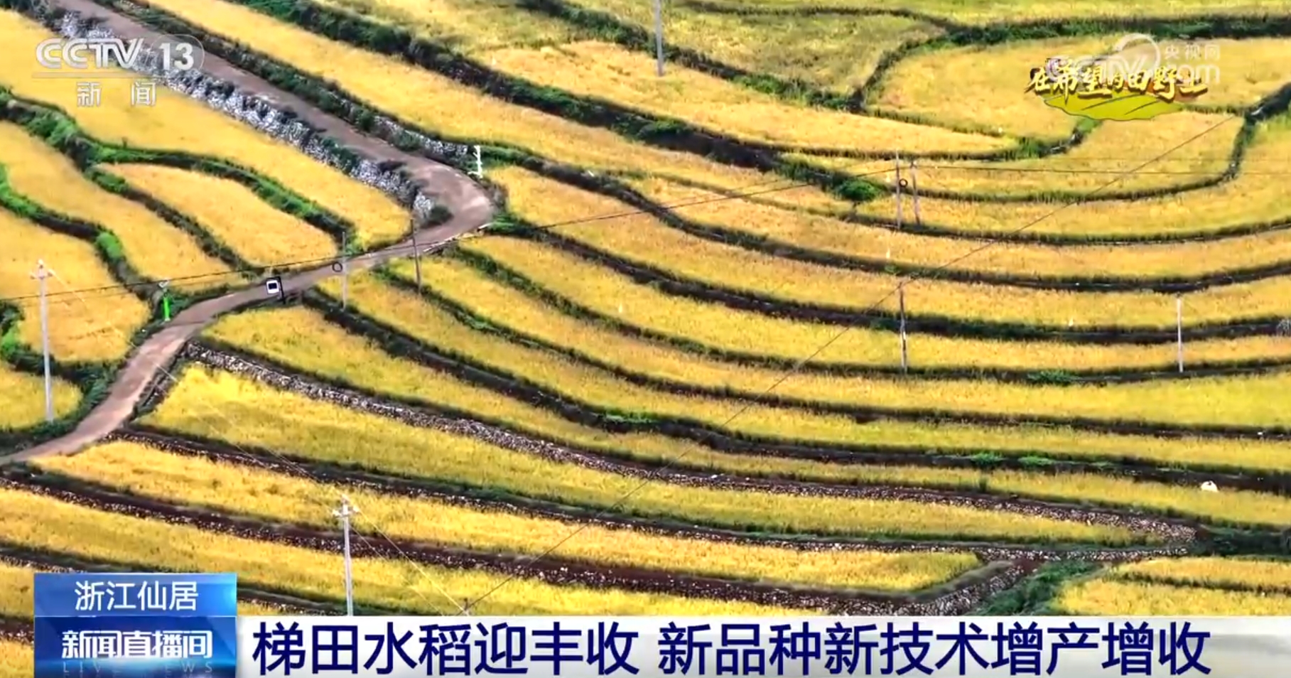 ”景画卷 农业高“智”量发展行稳致远龙8体育入口希望的田野上铺展多彩“丰(图7)