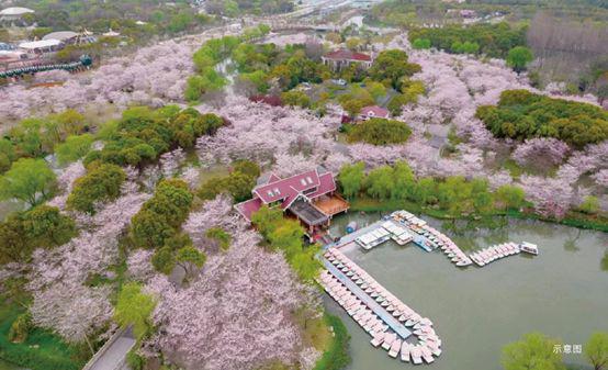 代乐章2024最新房价＋户型图＋环境配套头号玩家龙八国际网址招商时代乐章网站-时(图25)