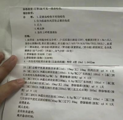 甲医院面对常见蛇伤却毫无办法三亚被蛇咬死的美女真冤堂堂三(图5)
